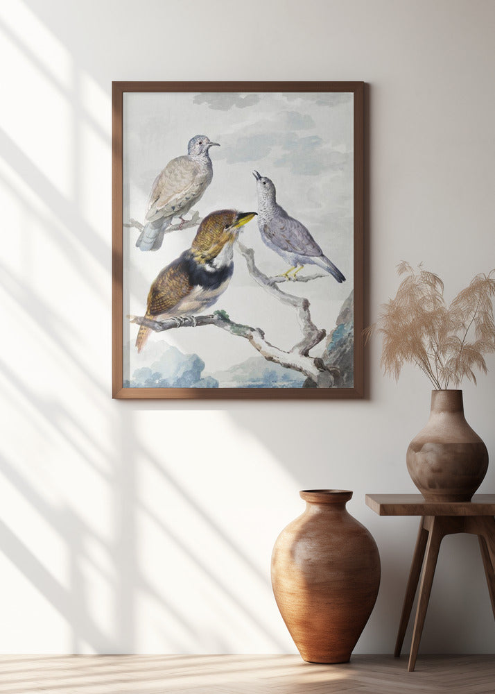 Three Birds, Two Inca Pigeons and a Collared Bearded Cuckoo