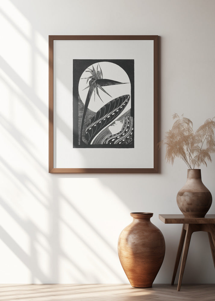 Strelitzia Overblown