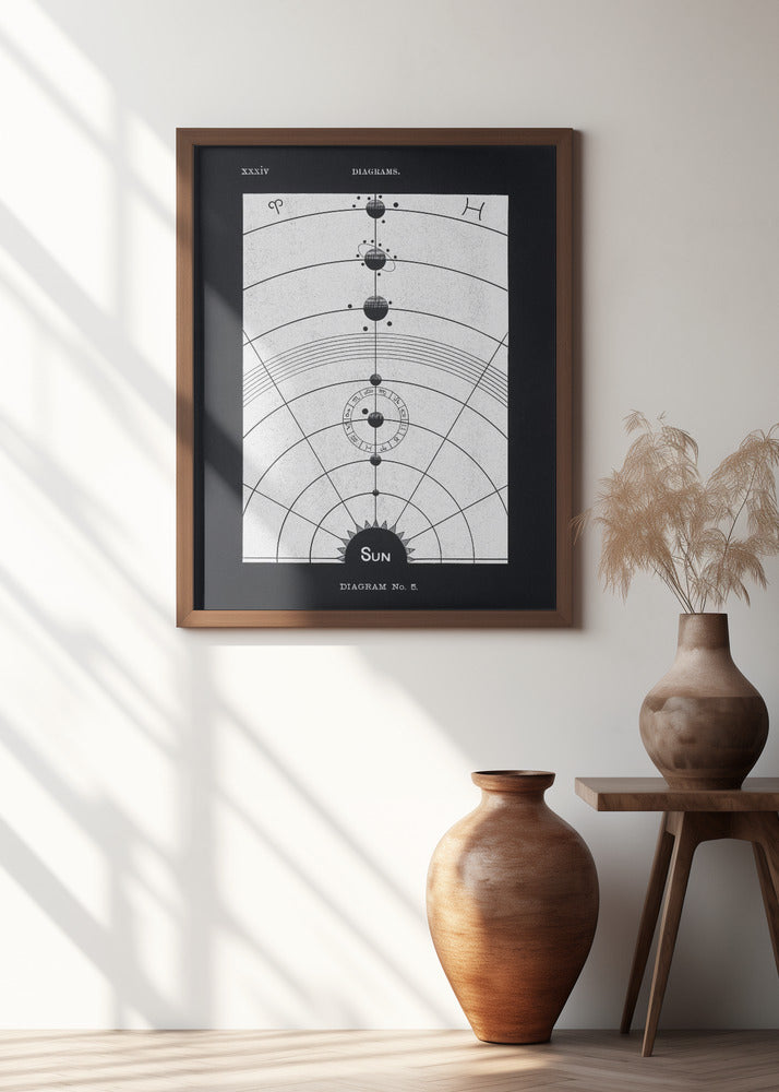 Solar Biology No. 5 Black (creative ed.)