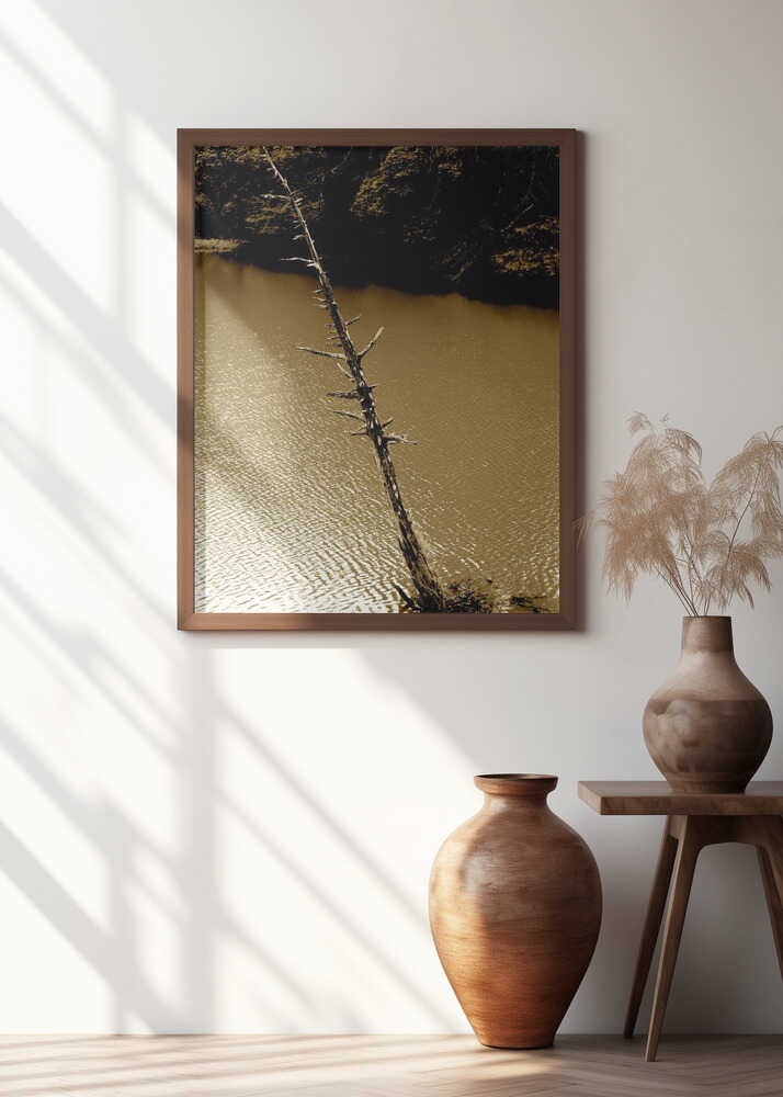 Tree's Silent Descent