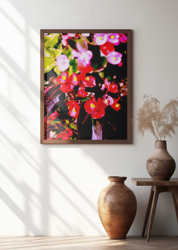 Vibrant Floral Burst