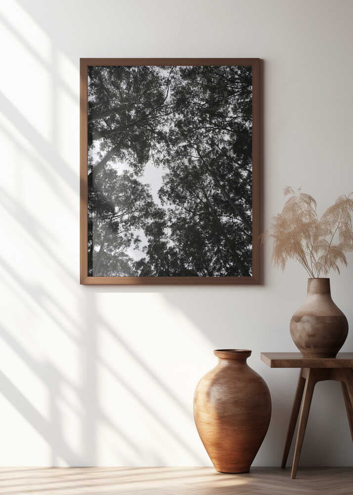 Forest Canopy Silhouette