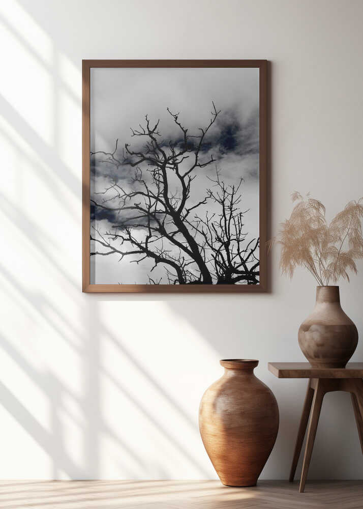 Dark Branches, Heavy Sky