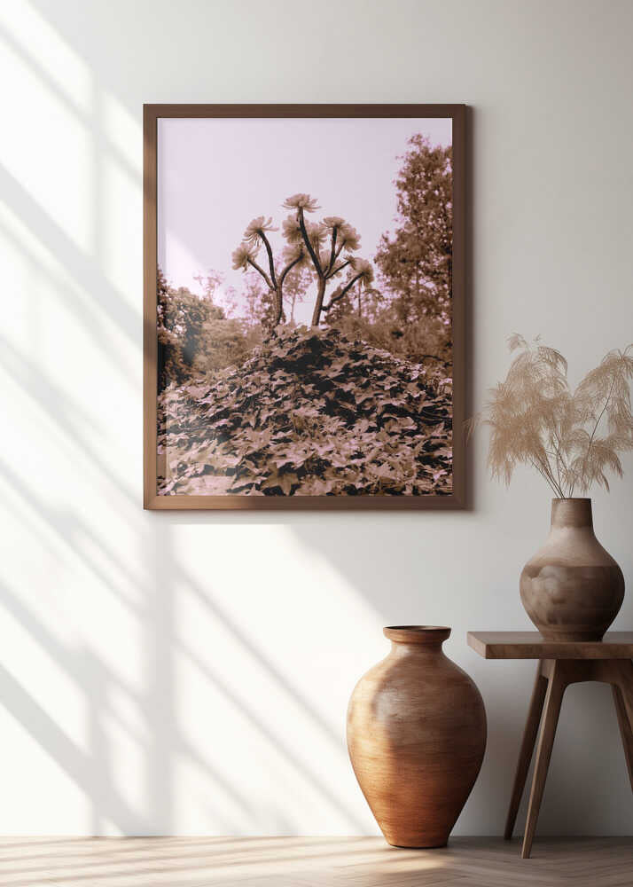 Blossoms on the Hill