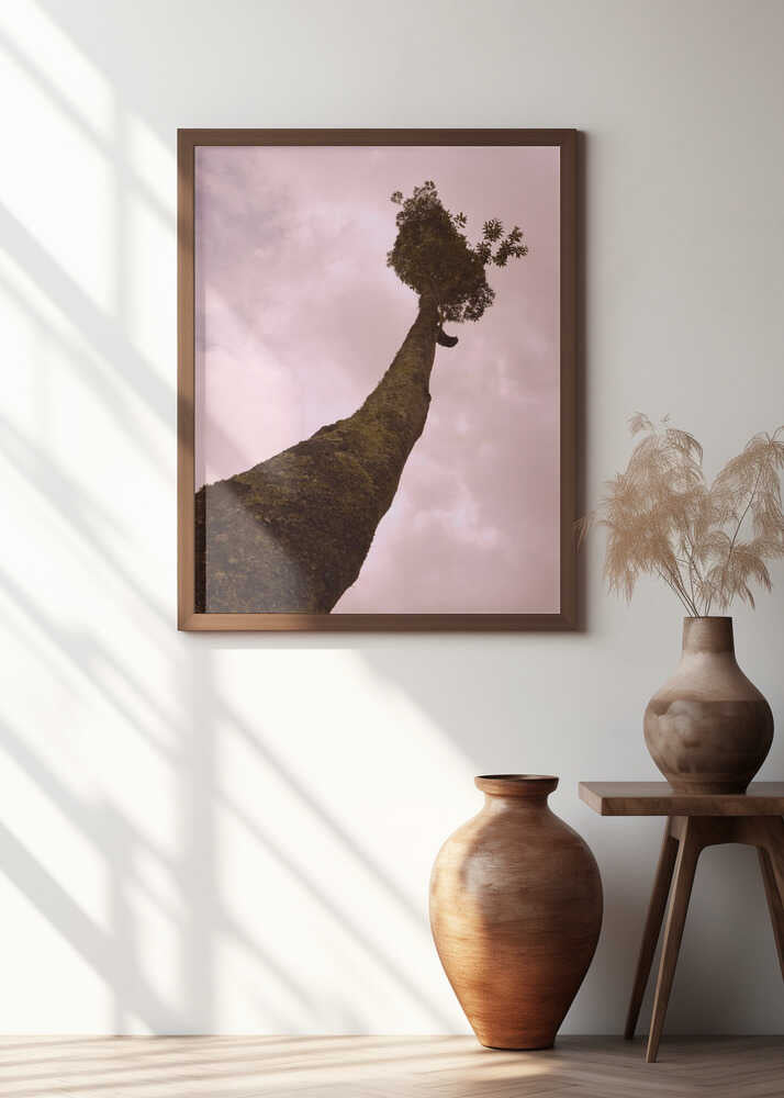 Skyward Tree Silence