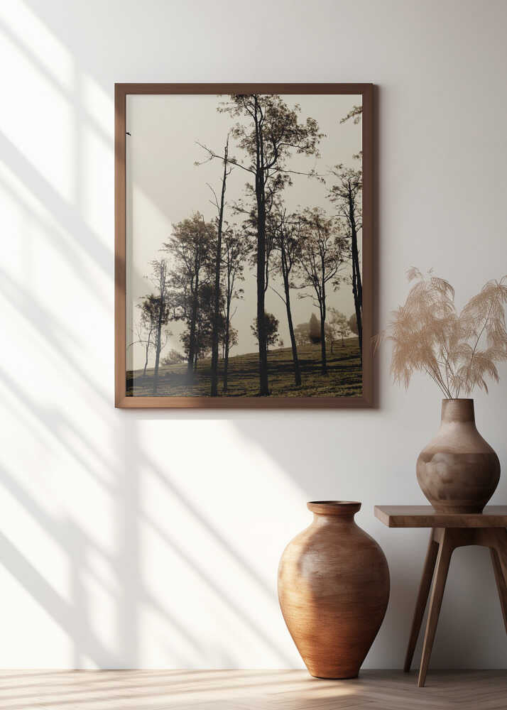 Ethereal Forest Veil