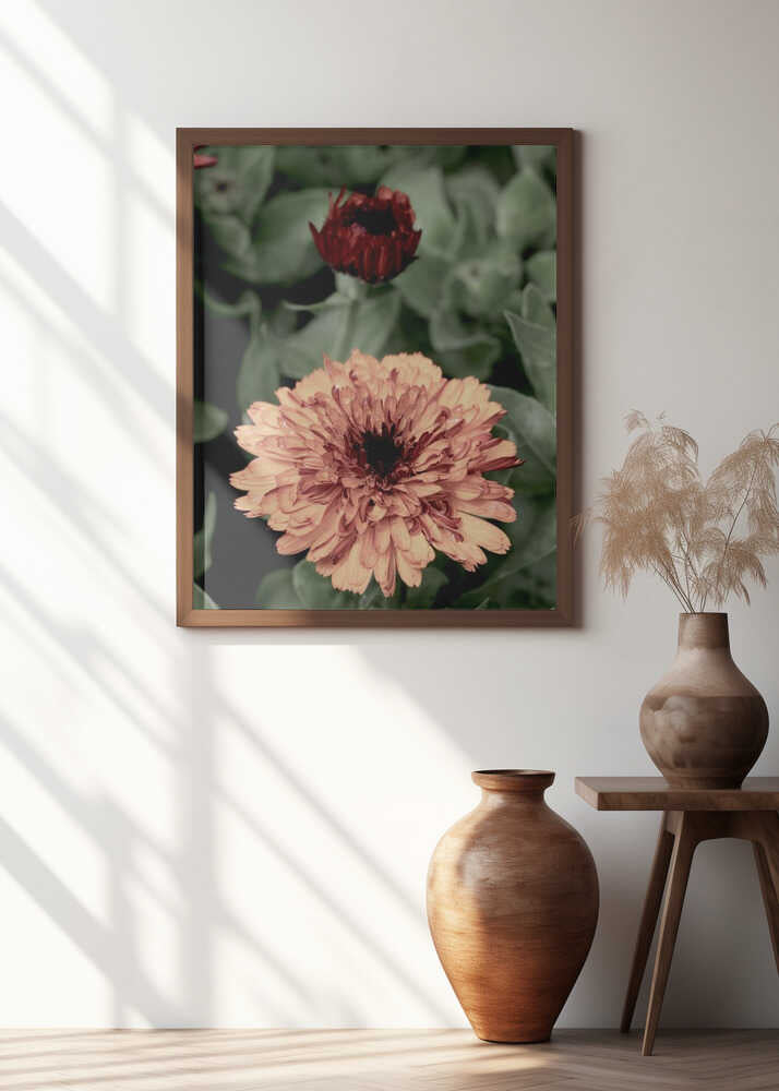 Vibrant Petals Bloom