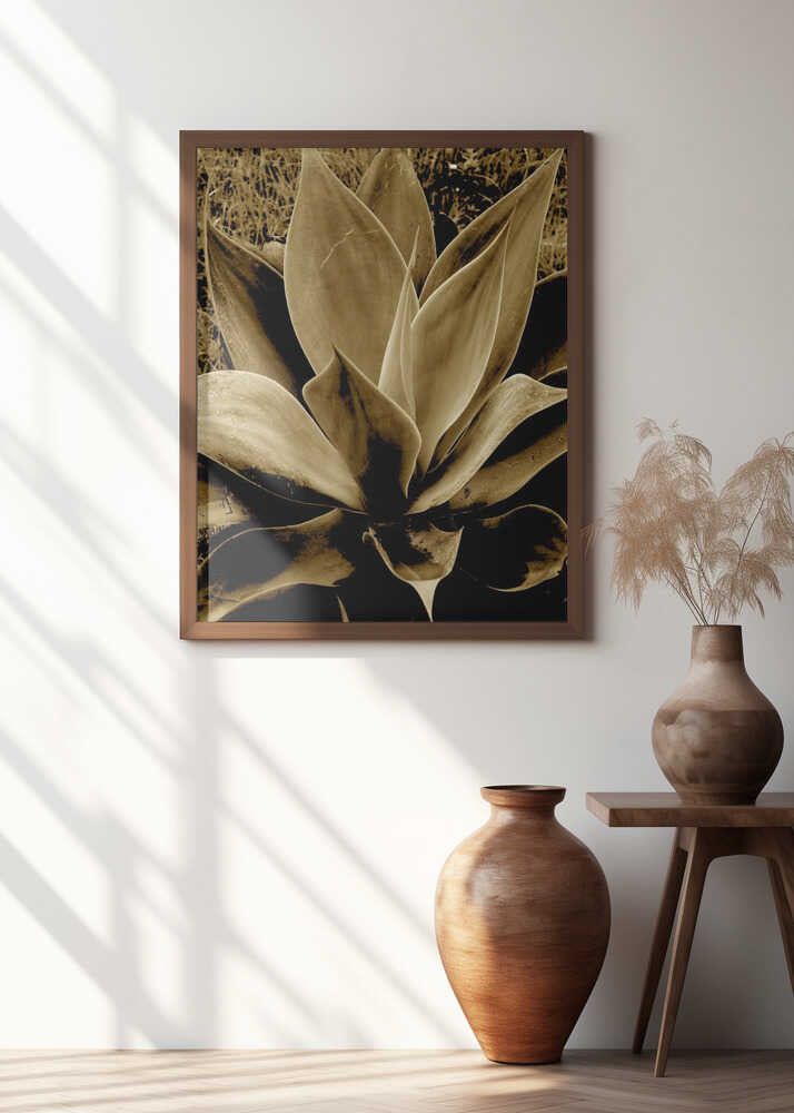 Agave in Sepia Tone