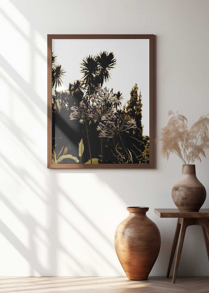 Tropical Silhouettes