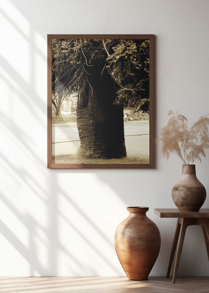 Majestic Tree Silhouette