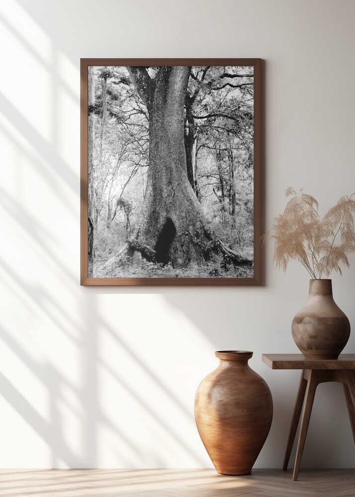 Mystical Forest Giant