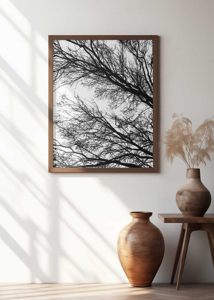 Bare Branch Silhouette