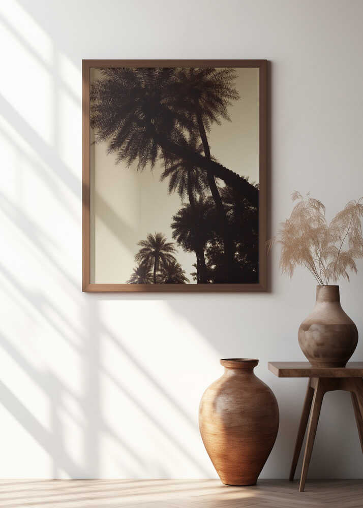 Palm Silhouettes