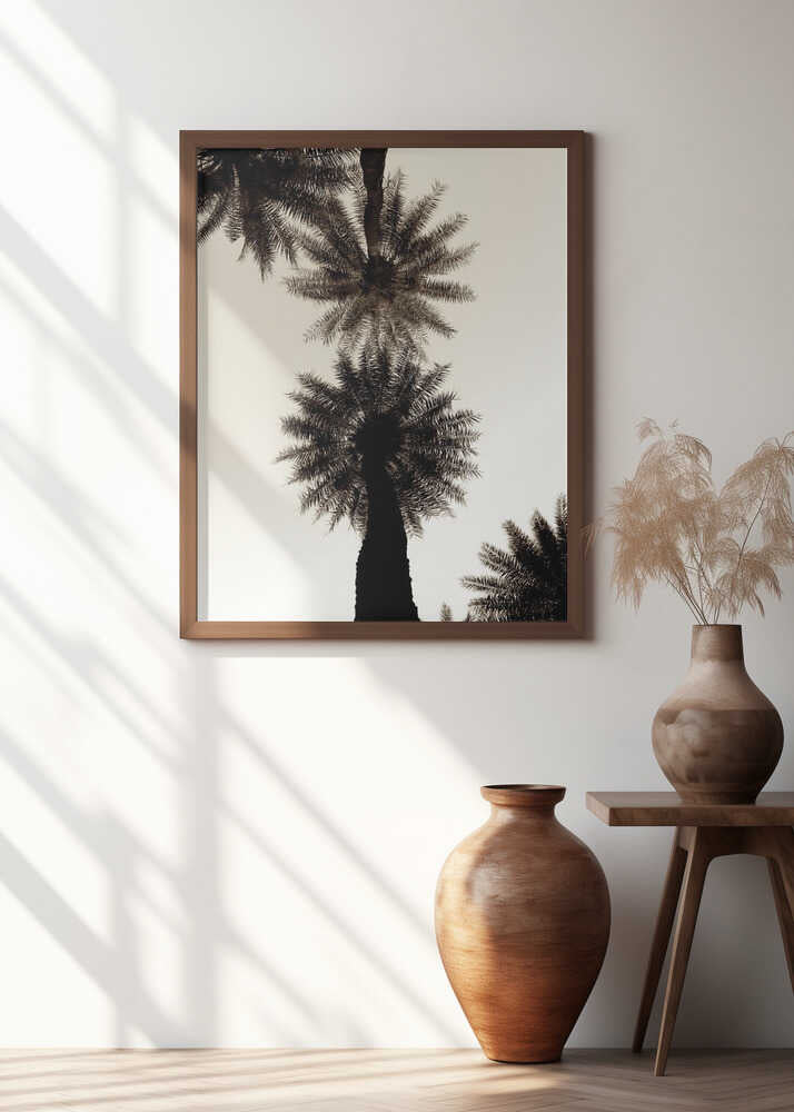 Palm Silhouettes