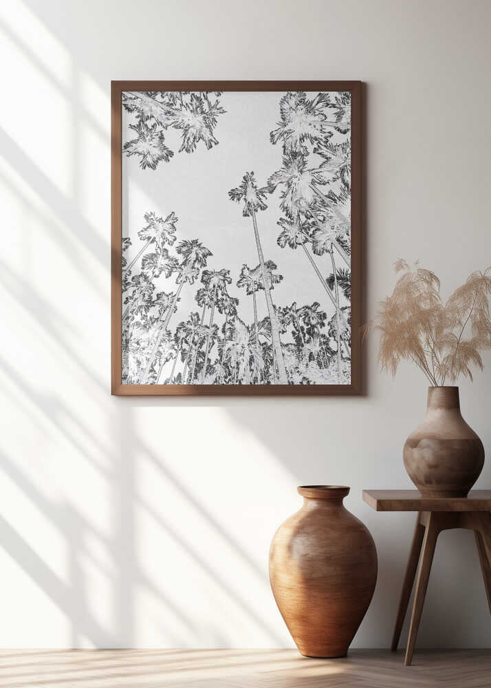 Tropical Silhouettes