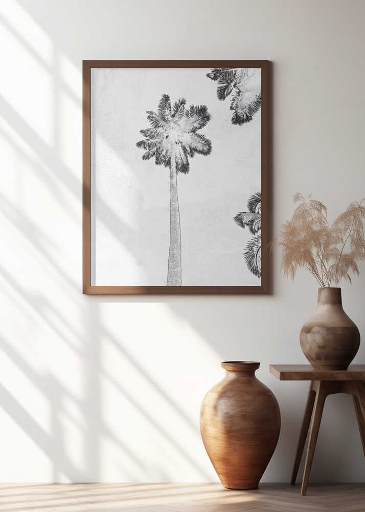 Tropical Silhouettes