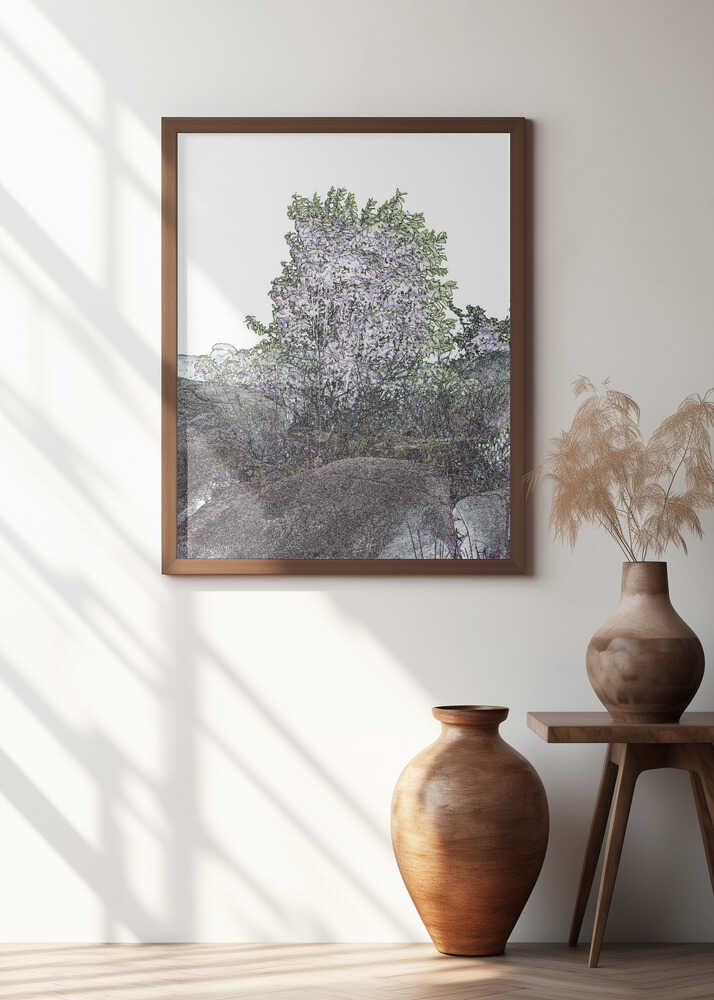 Blossom Amidst Stone