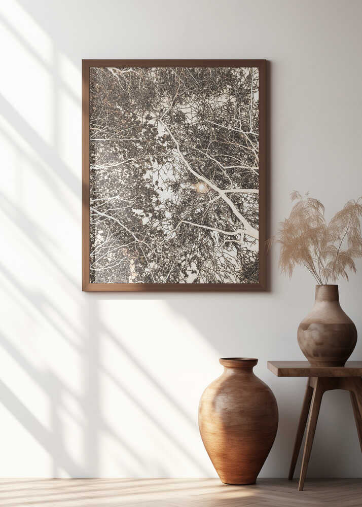 Sunlight Through Branches