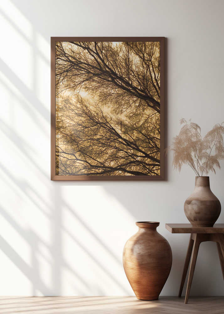 Branching Silhouettes