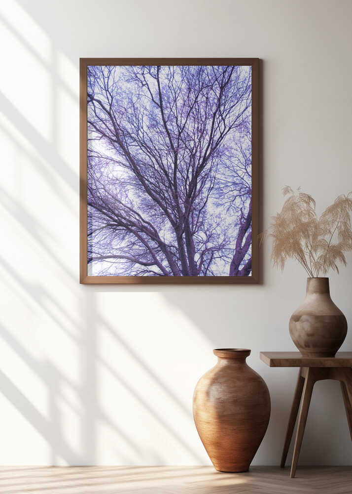 Violet Branches