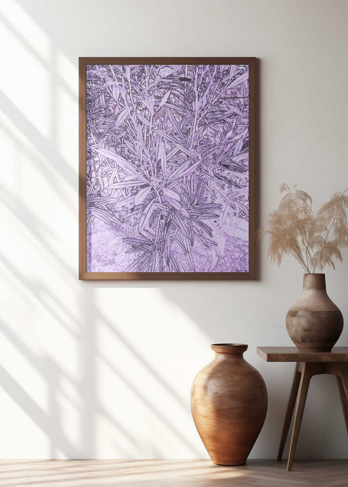 Lavender Foliage