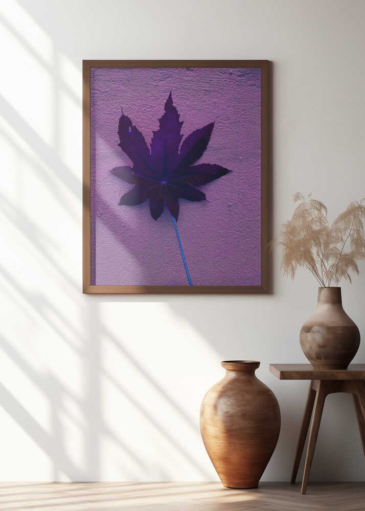 Purple Leaf Dream