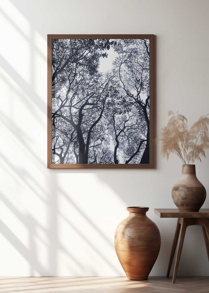 Branching Silhouettes