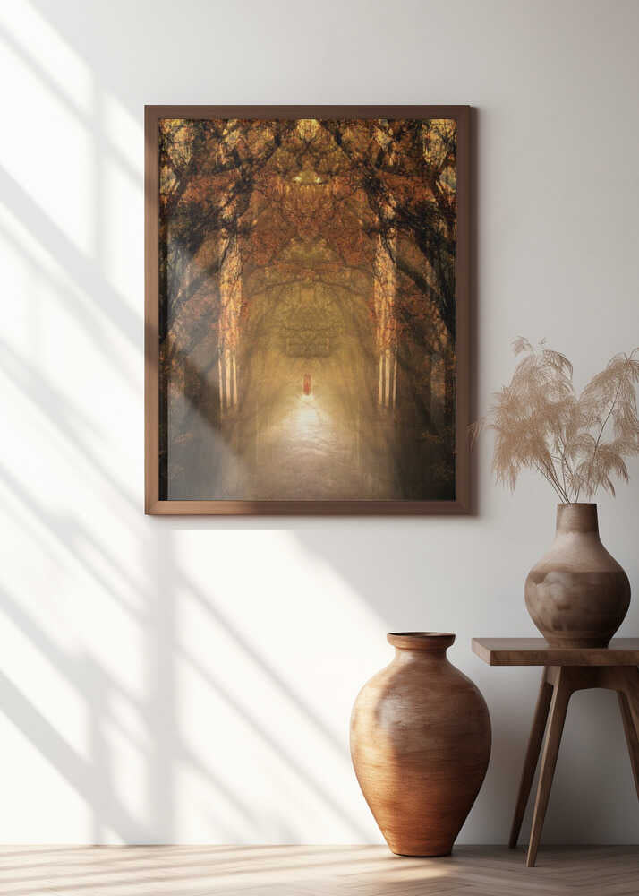 The Light Within Shadows