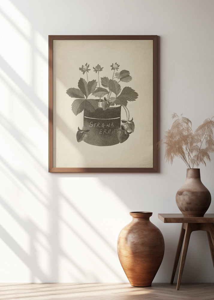 Vintage strawberry plant