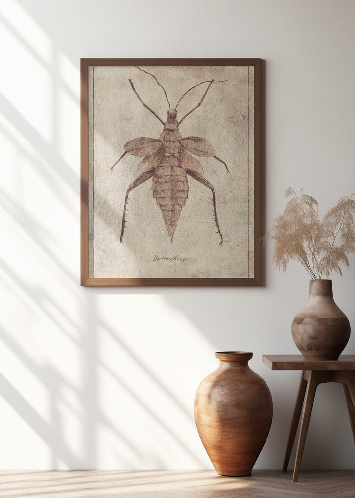 Vintage Insect Illustration