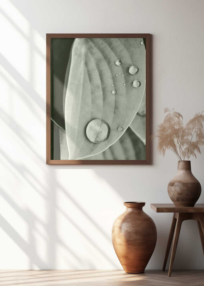 Dew on Leaf Elegance