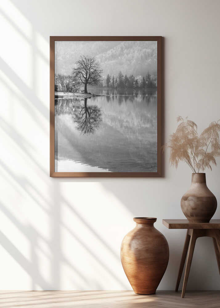 Reflection at the edge of a lake