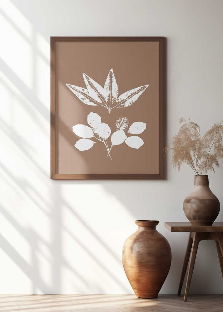 Botanical Silhouettes