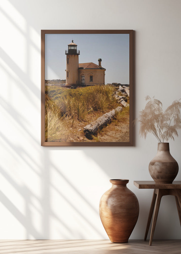 Lighthouse Surrounded By Wild Grass