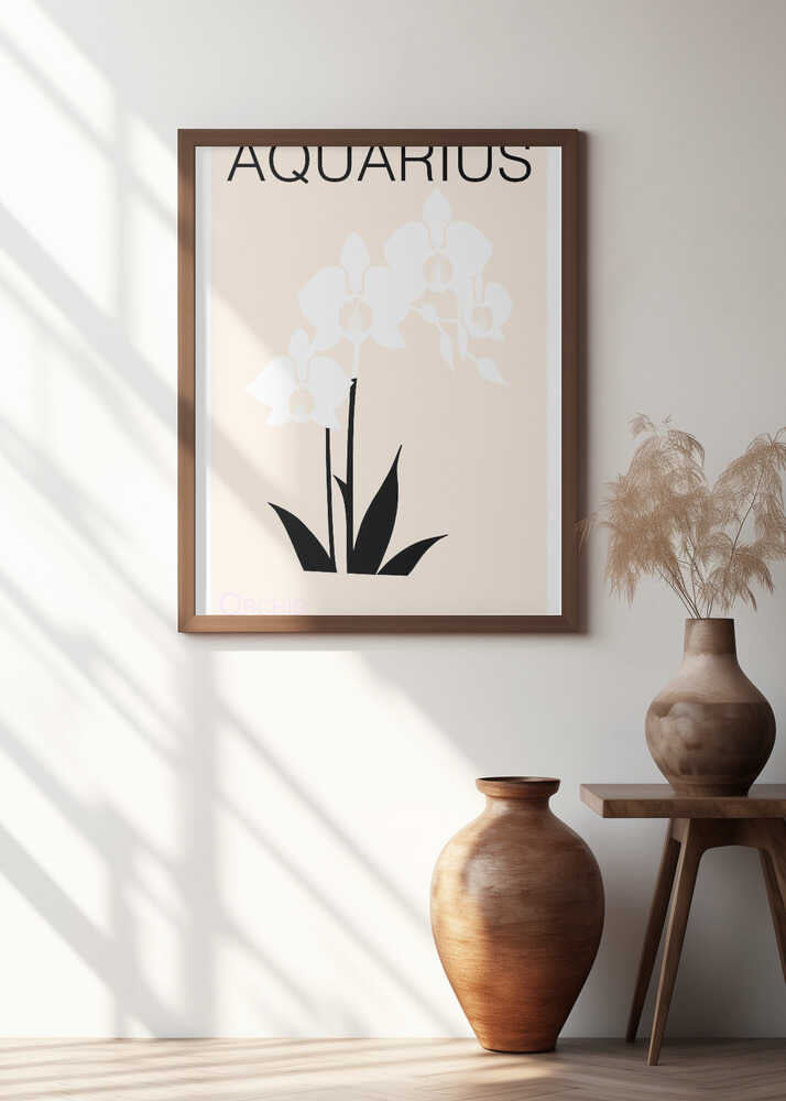 Aquarius Delicate Orchids