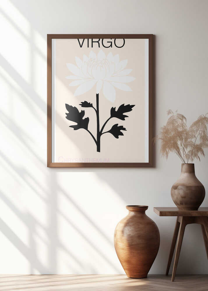 Virgo Chrysanthemum Flower