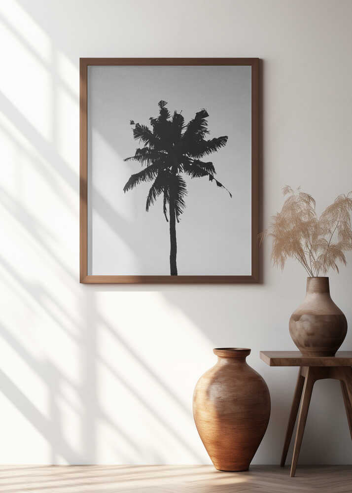 Lone Palm Silhouette