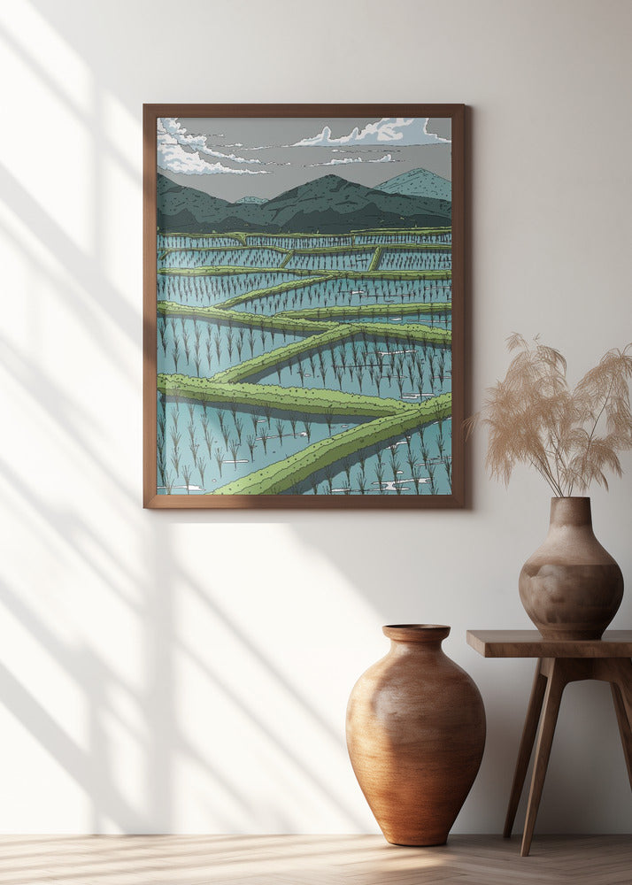 Chinese Paddy Fields