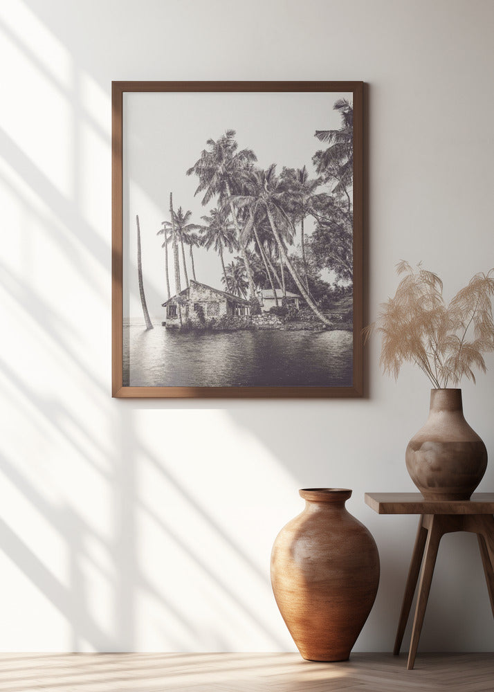 Tropical scene in Uganda