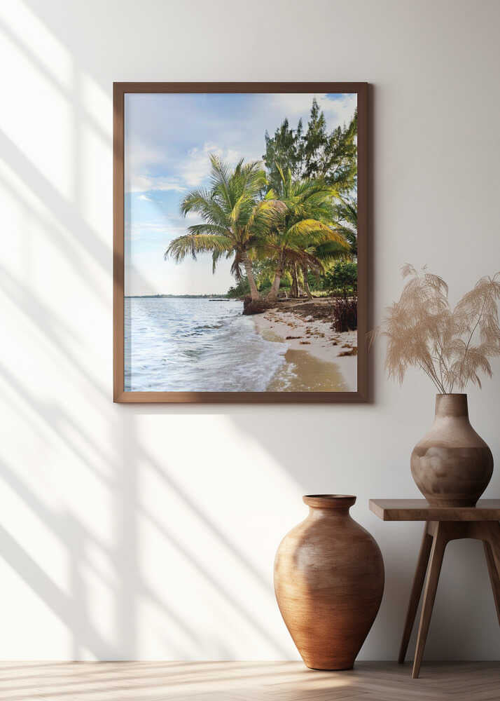 Tropical Ocean in Belize