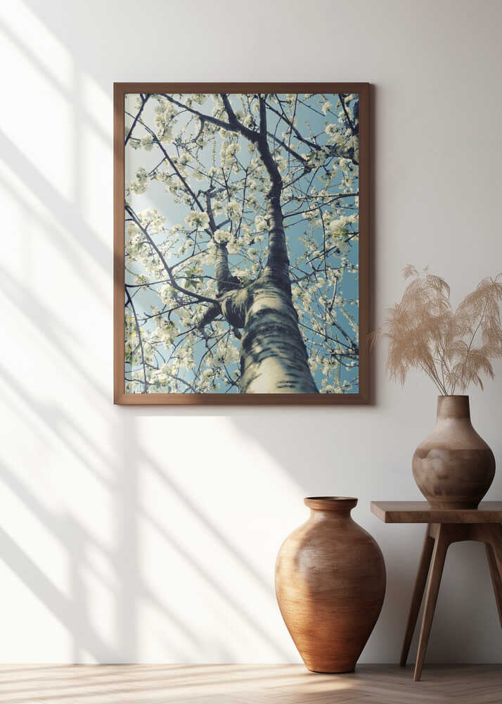 Under the Cherry Tree