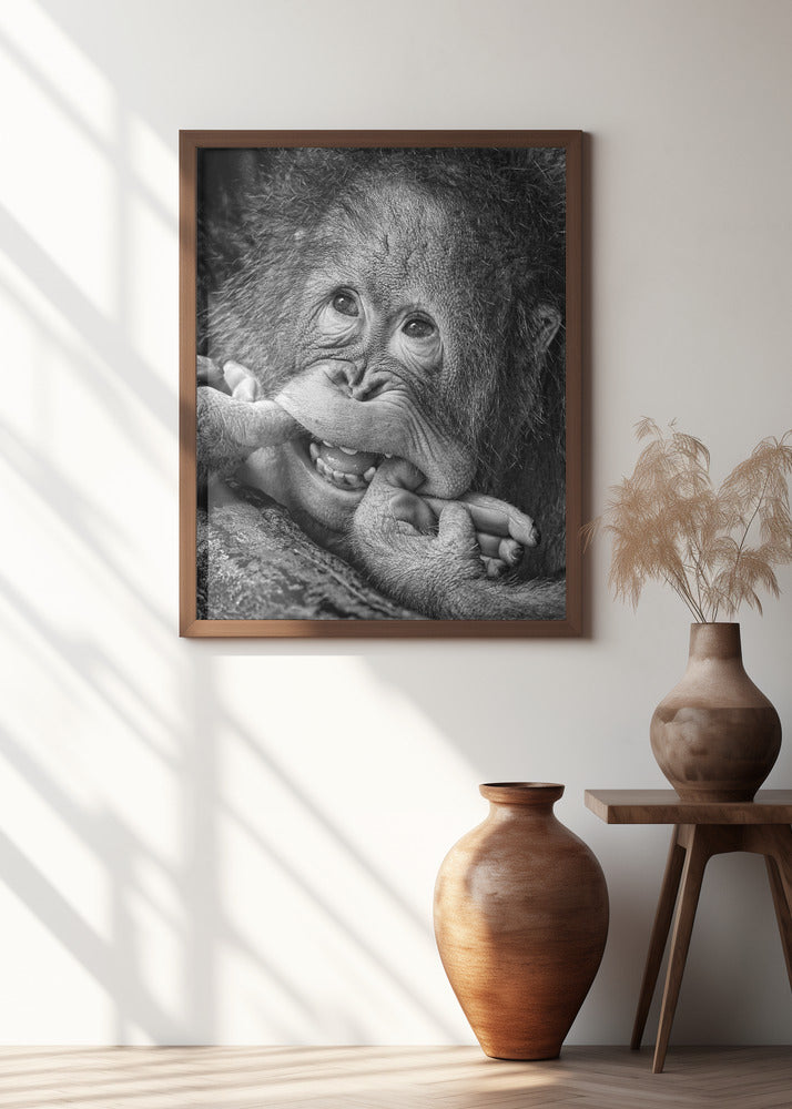 Big Smile.....please