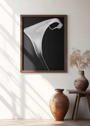 Art Prints of Calla