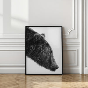 Art Prints of The Salmon Catcher