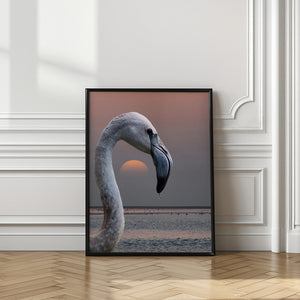 Art Prints of This is my world