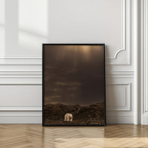 Art Prints of The bear on the cliff .. Svalbard