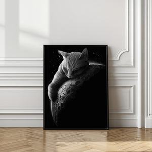 Canvas Art Print mooncat