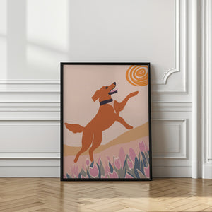 Art Prints of Frisbee Dog