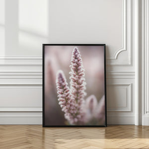 Art Prints of Naturedetailno2