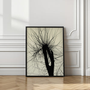 Art Prints of City Range 24